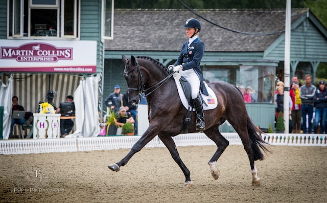 Black Grouse Media Equestrian Photography Workshop - 27th September 2025 - Stow on The Wold