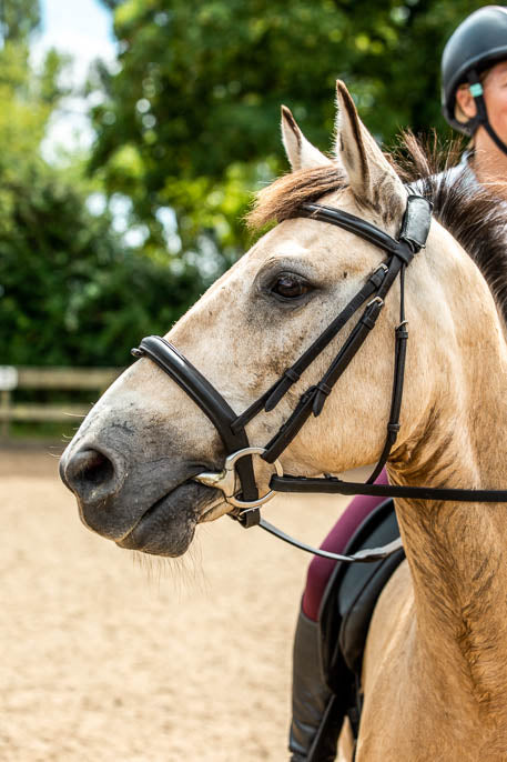 Residential Camps at The Unicorn Trust (2026 Dates Added!)