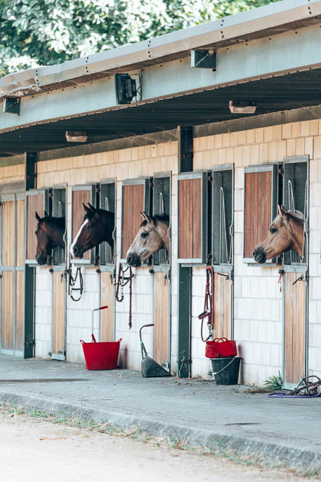 Residential Camps at The Unicorn Trust (2026 Dates Added!)