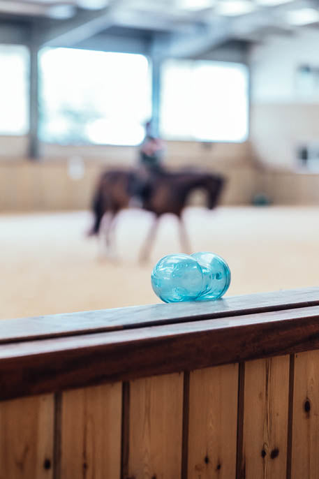 Residential Camps at The Unicorn Trust (2026 Dates Added!)