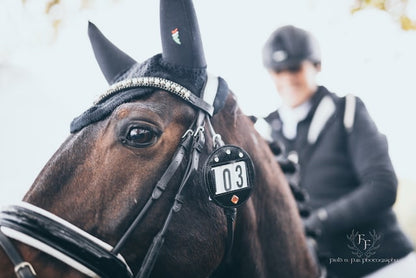 Black Grouse Media Equestrian Photography Workshop - 12th April 2025 - Stow on The Wold