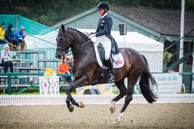 Black Grouse Media Equestrian Photography Workshop - 12th April 2025 - Stow on The Wold