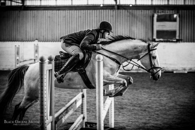 Black Grouse Media Equestrian Photography Workshop - 12th April 2025 - Stow on The Wold