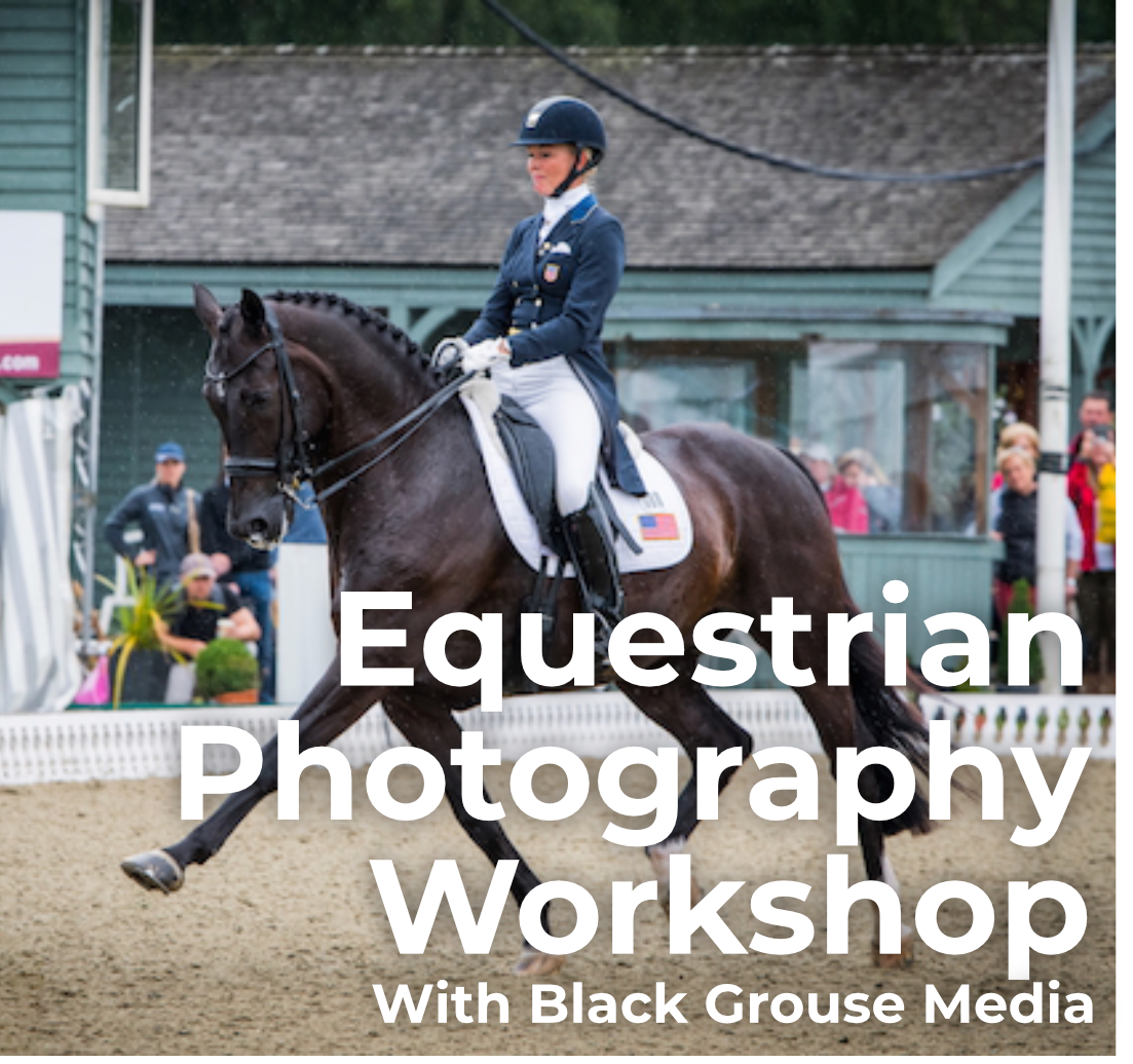 Black Grouse Media Equestrian Photography Workshop - 12th April 2025 - Stow on The Wold